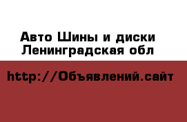 Авто Шины и диски. Ленинградская обл.